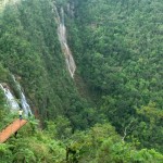 Pinares de Mayari 