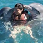 Swim with Dolphins 